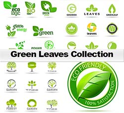 24套矢量的绿叶花瓣素材：Green Leaves Vectors - 24xEPS